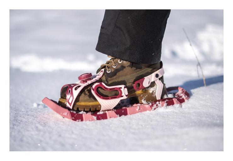Raquettes à neige TSL Smart S