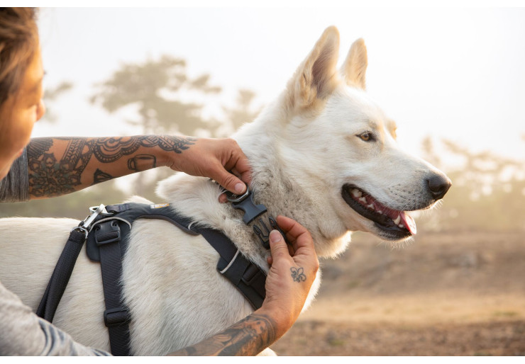 Collier Ruffwear Front Range