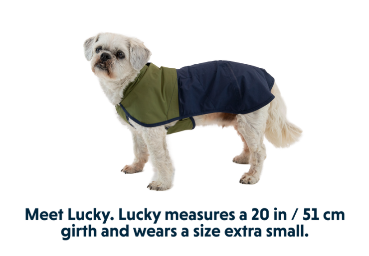 Veste pour chien Ruffwear Sun Shower