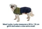 Veste pour chien Ruffwear Sun Shower