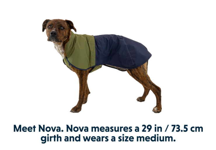 Veste pour chien Ruffwear Sun Shower
