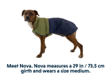 Veste pour chien Ruffwear Sun Shower