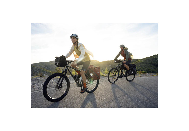 Sacoche de vélo Back-Roller Plus QL2.2 Moss green Ortlieb