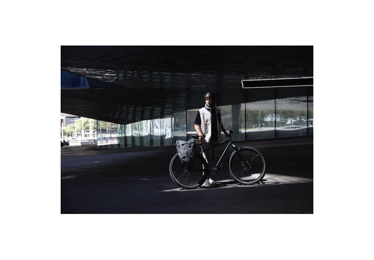 Sacoche de vélo Back-Roller Urban QL2.1 ash rose Ortlieb