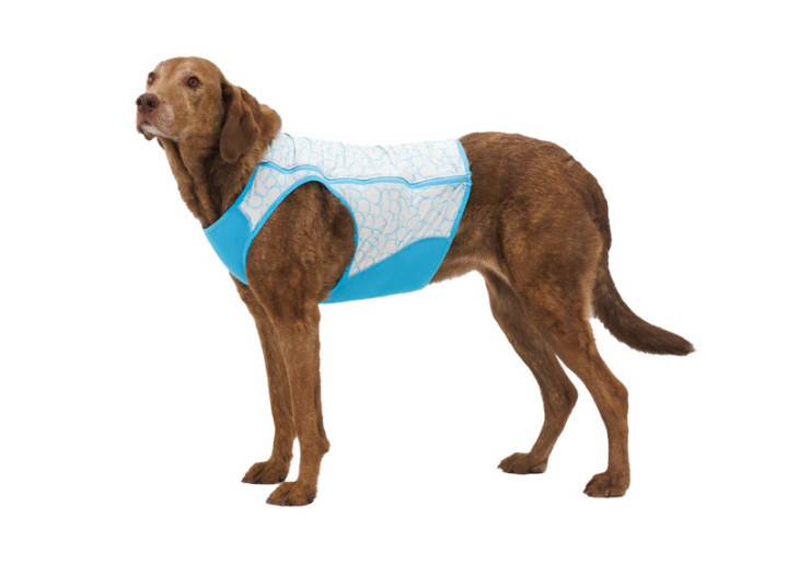 Gilet pour chien rafraîchissant Swamp Cooler Zip Ruffwear