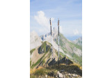 Bâtons Trail Carbon 4 Cork Cross Shadow TSL