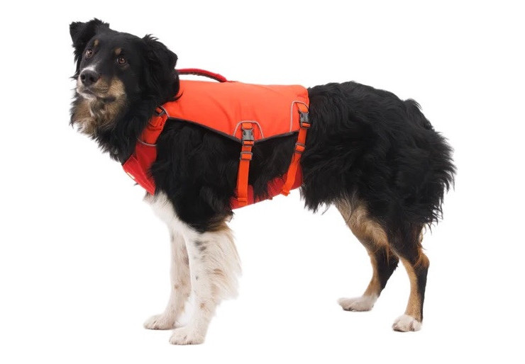 Harnais pour chien Swamp Cooler Ruffwear