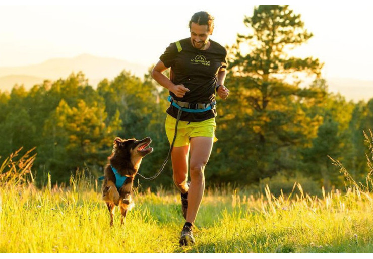 Laisse pour chien Ridgeline Ruffwear