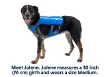 Veste pour chien Ruffwear Trail Runner