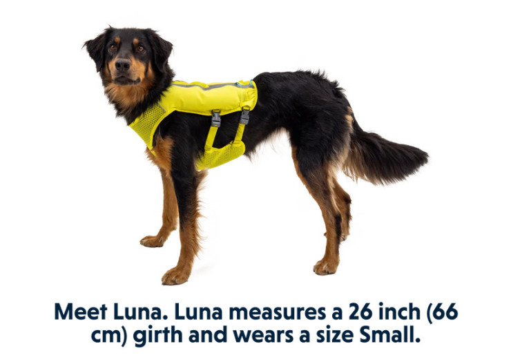 Veste pour chien Ruffwear Trail Runner