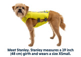 Veste pour chien Ruffwear Trail Runner