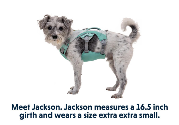 Harnais pour chien rafraîchissant Swamp Cooler Ruffwear