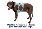 Harnais pour chien rafraîchissant Swamp Cooler Ruffwear