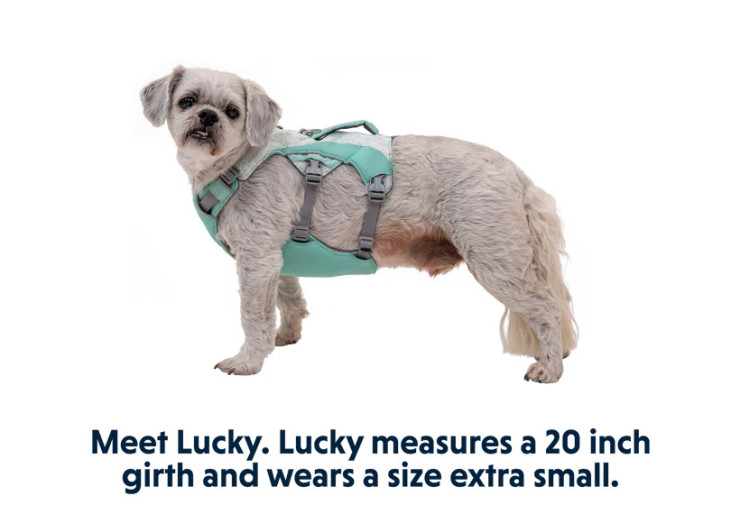 Harnais pour chien rafraîchissant Swamp Cooler Ruffwear