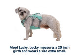 Harnais pour chien rafraîchissant Swamp Cooler Ruffwear