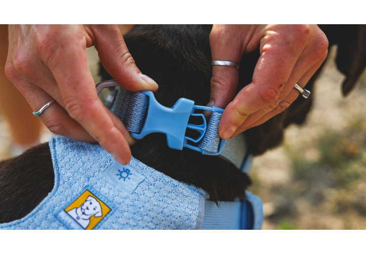 Collier pour chien Ruffwear Front Range Flex