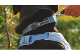 Collier pour chien Ruffwear Front Range Flex