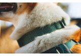 Collier pour chien Ruffwear Front Range Flex