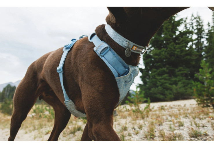 Collier pour chien Ruffwear Front Range Flex