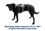 Harnais pour chien DoubleBack Gris Ruffwear