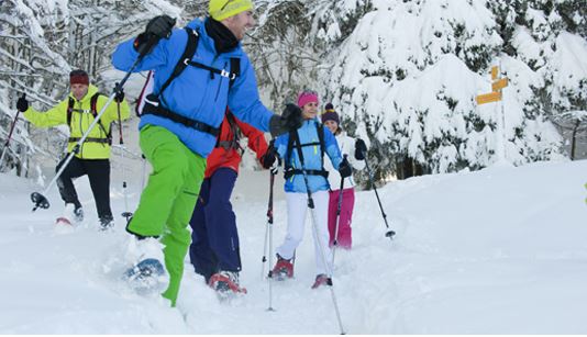 TSL raquettes à neige
