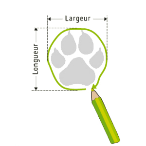Comment mesurer ses bottines pour chien