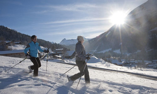 itinéraire en raquettes à neige tsl au chambourguet