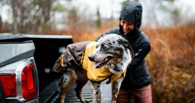 Sun Shower ruffwear