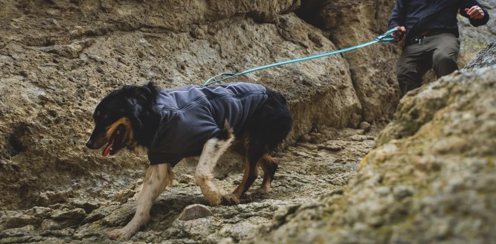 Veste Sunshower Ruffwear